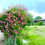 Le D'origne Holiday home Origne (Gironde)