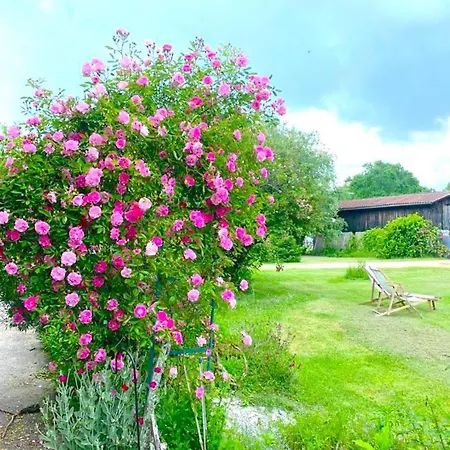 Maison Piscine, Jardin Privatifs * Origne (Gironde)